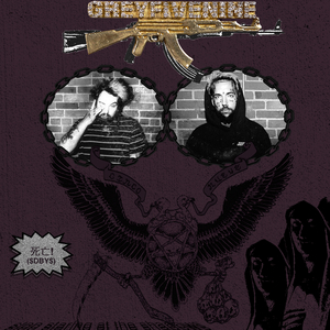 柴郡主后门被高衙内毁了是哪一集
